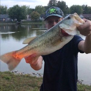 Meet your Posher, Carter